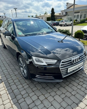 Audi A4 cena 91500 przebieg: 112400, rok produkcji 2016 z Bierutów małe 667